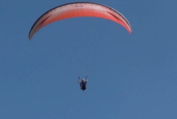 Paralotnia Swing Nexus M