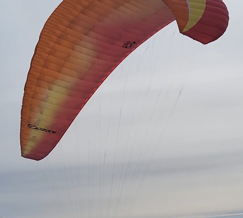 6bf98bd5-6a35-45d4-a096-371657310fa0 Ozone Buzz Z5 XL 110-130 kg